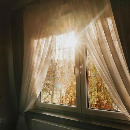 Paula بولانيكا- زدروي