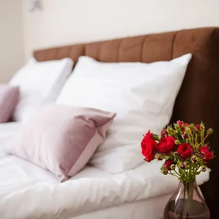 Paula 3* بولانيكا- زدروي