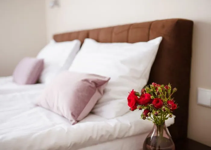 Paula 3* Polanica-Zdrój